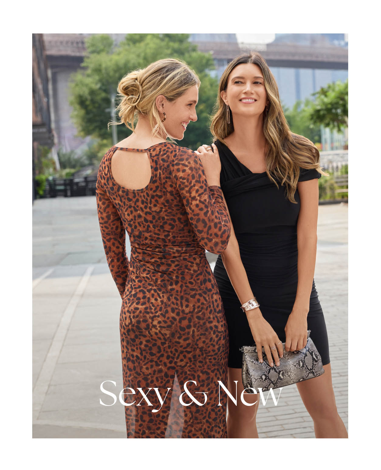 Sexy & New