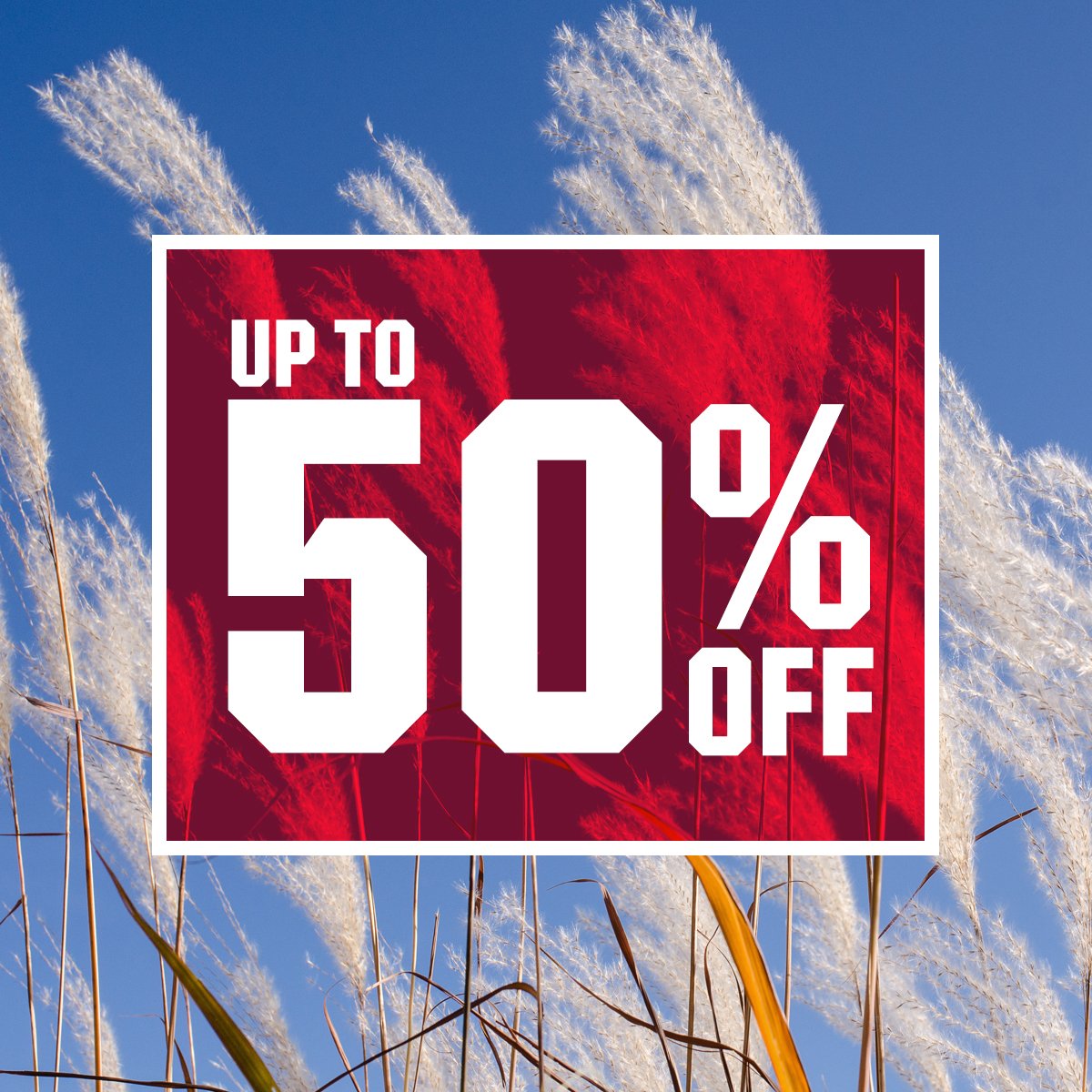 Up to 50% off.