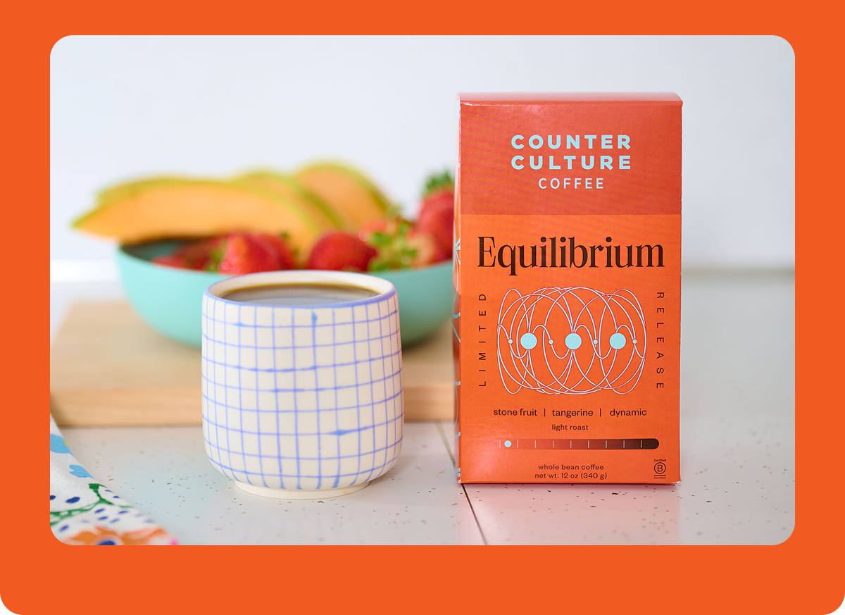 Equilibrium Image