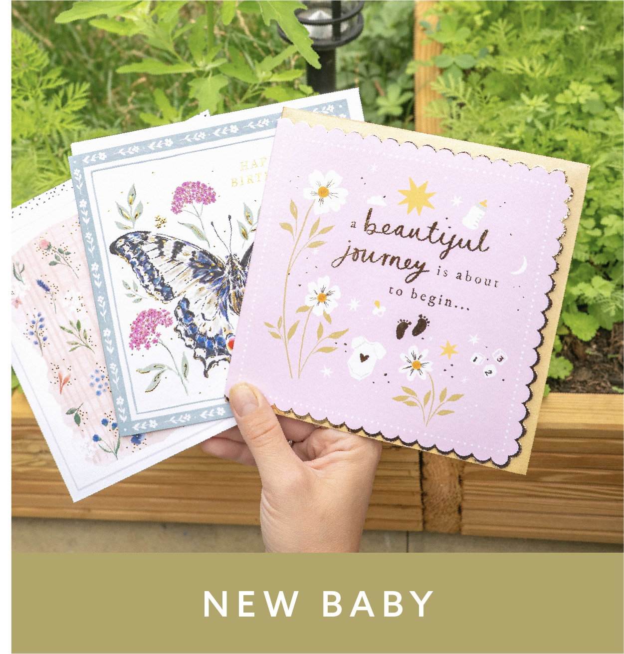 New baby cards featuring delicate floral and butterfly designs. Shop New Baby cards.