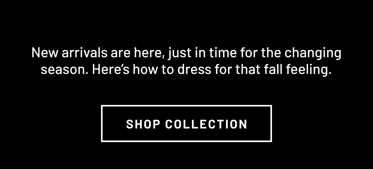 New arrivals and everyday favourites
