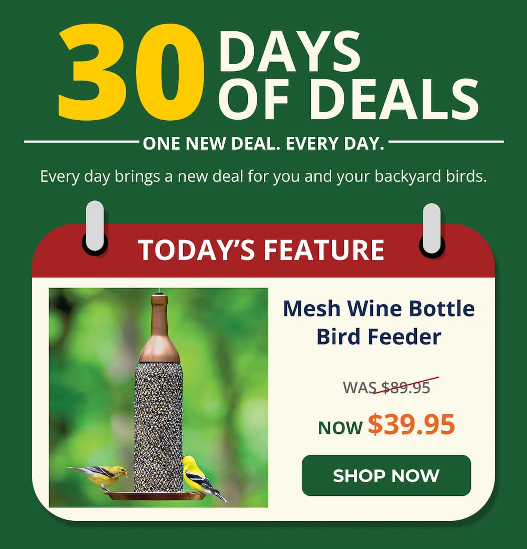 Every day brings a new deal for you and your backyard birds.