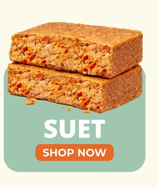 SUET 