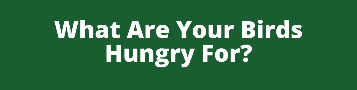 What Are Your Birds Hungry For?