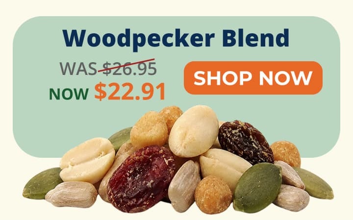 Woodpecker Blend