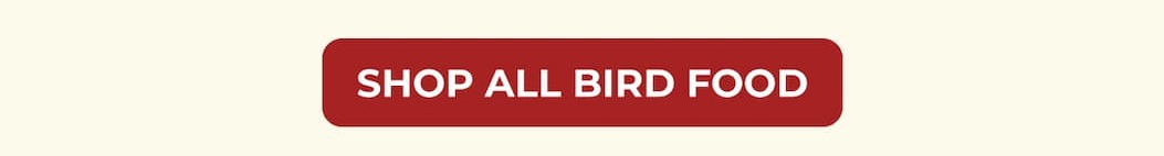 SHOP ALL BIRD FOOD