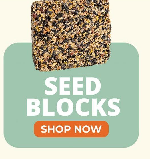 SEED BLOCKS