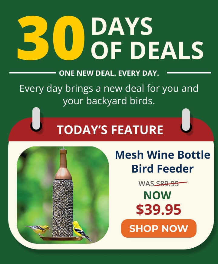 Every day brings a new deal for you and your backyard birds.