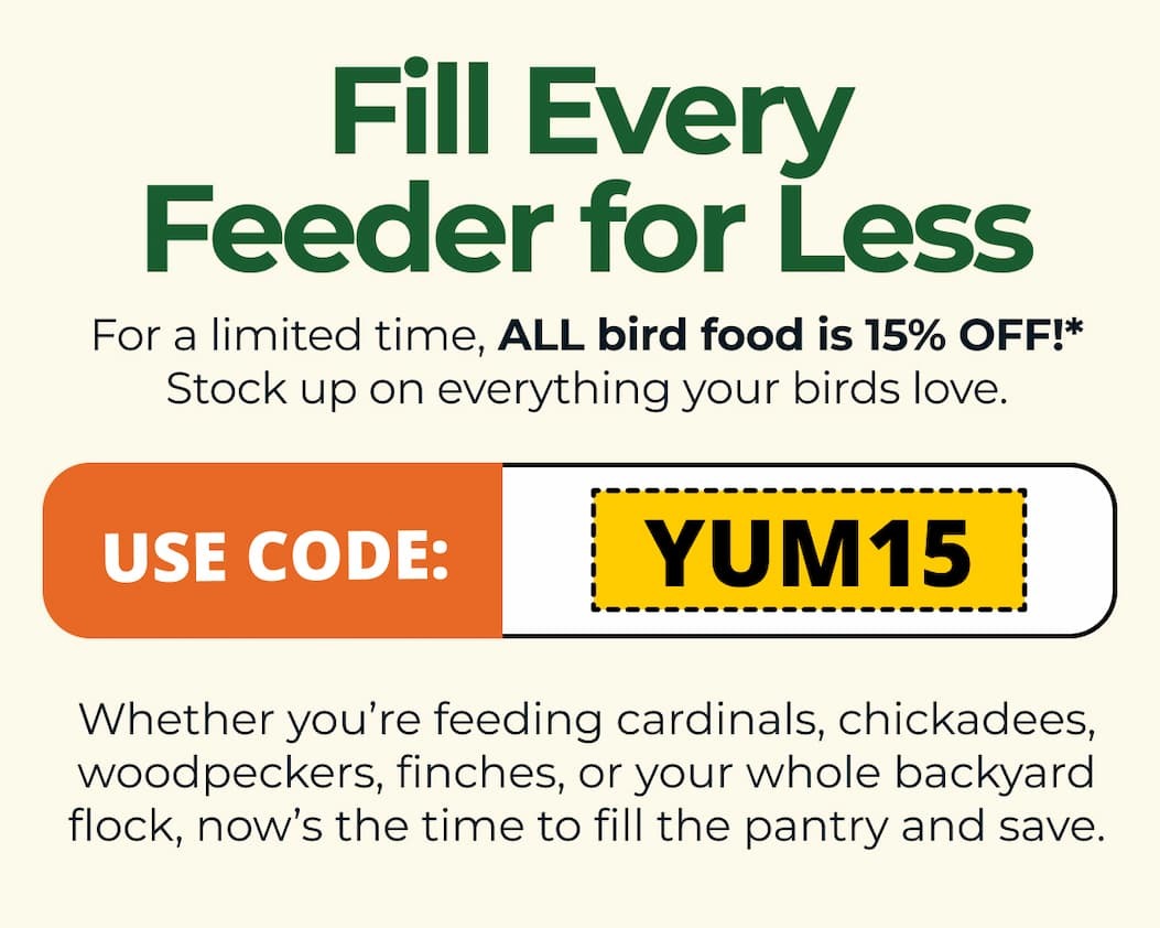 Fill Every Feeder for Less