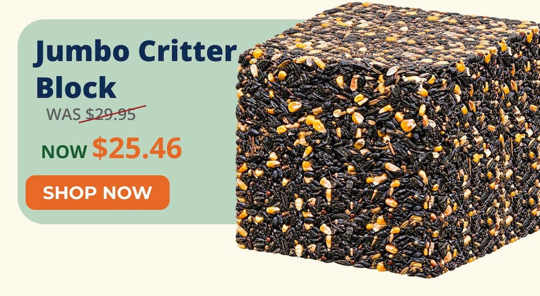 Jumbo Critter Block