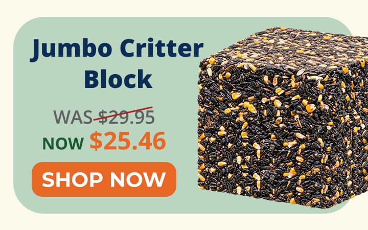 Jumbo Critter Block