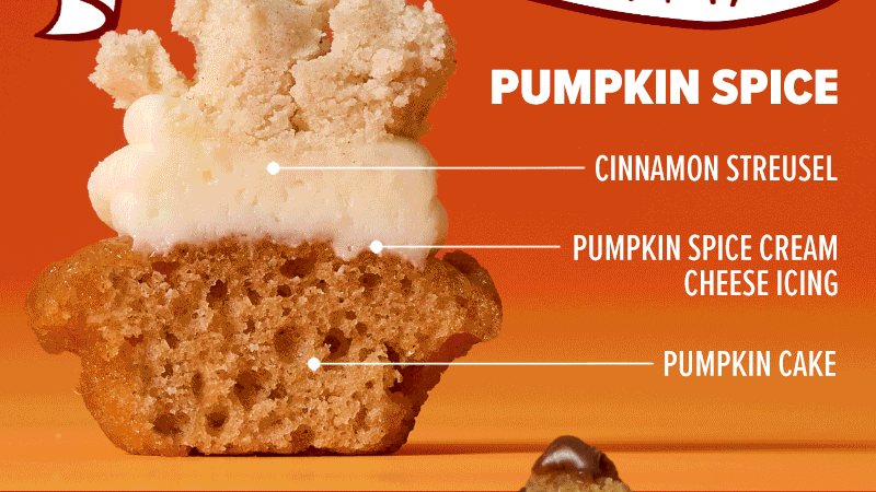 Pumpkin Spice cupcake: Pumpkin cake, pumpkin spice cream cheese icing, and cinnamon streusel topping.