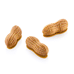 Image of ARACHIDE 30 Silicone Peanut Mold