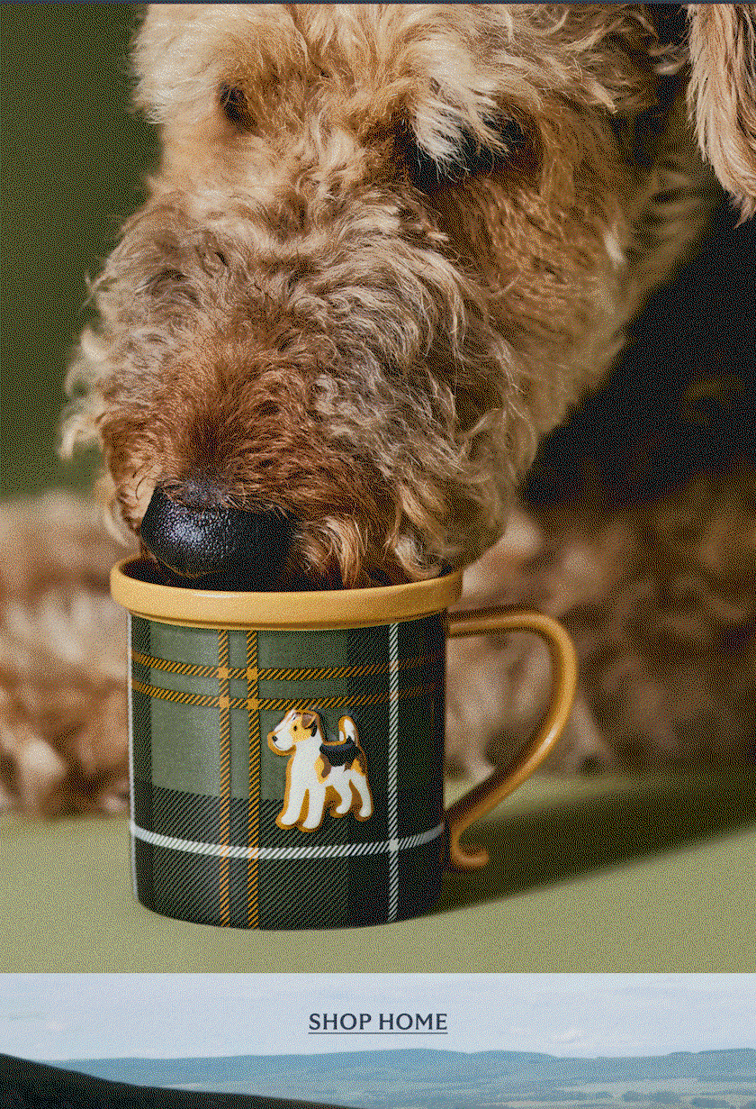 Home & Decor >