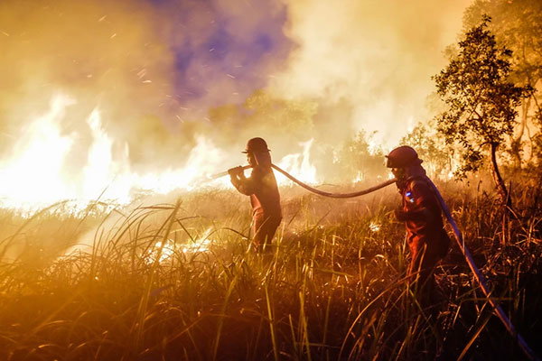 Two firefighters with a hose attempt to extinguish a wildfire in Sumatra in 2026.