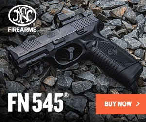 FN 545 on GunBroker.com