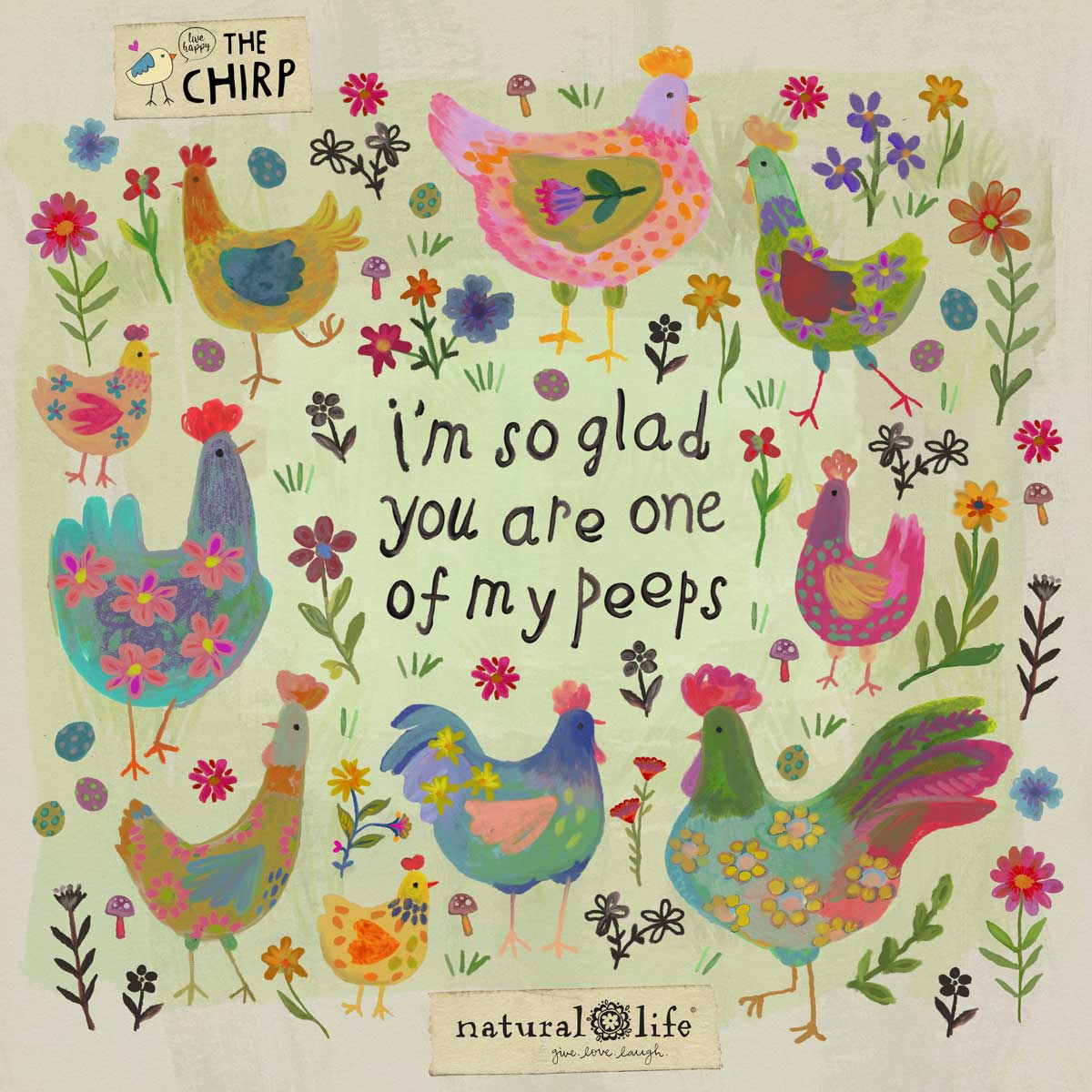 chirp_homepage