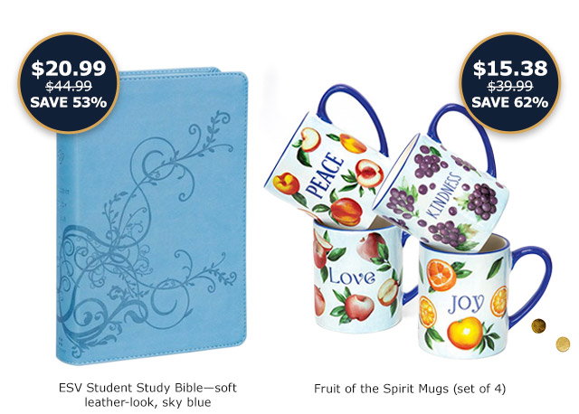 ESV Student Study Bible | Fruit of the Spirit Mugs (set of 4)