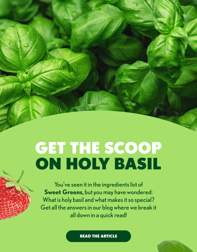 GET THE SCOOP ON HOLY BASIL You’ve seen it in the ingredients list of Sweet Greens, but you may have wondered: What is holy basil and what makes it so special? Get all the answers in our blog where we break it all down in a quick read! READ THE ARTICLE