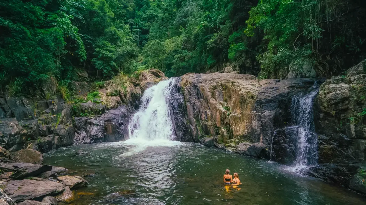 Half-Day Waterfalls & Rainforest Explorer Tour from Cairns