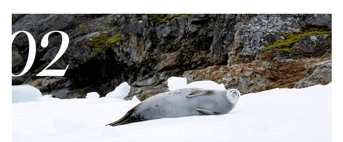 2. Atlas Ocean Voyages