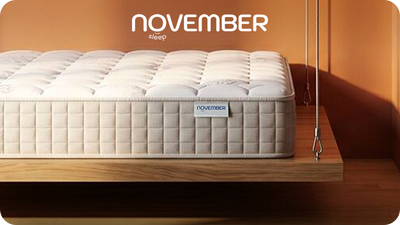NOVEMBER SLEEP - MP