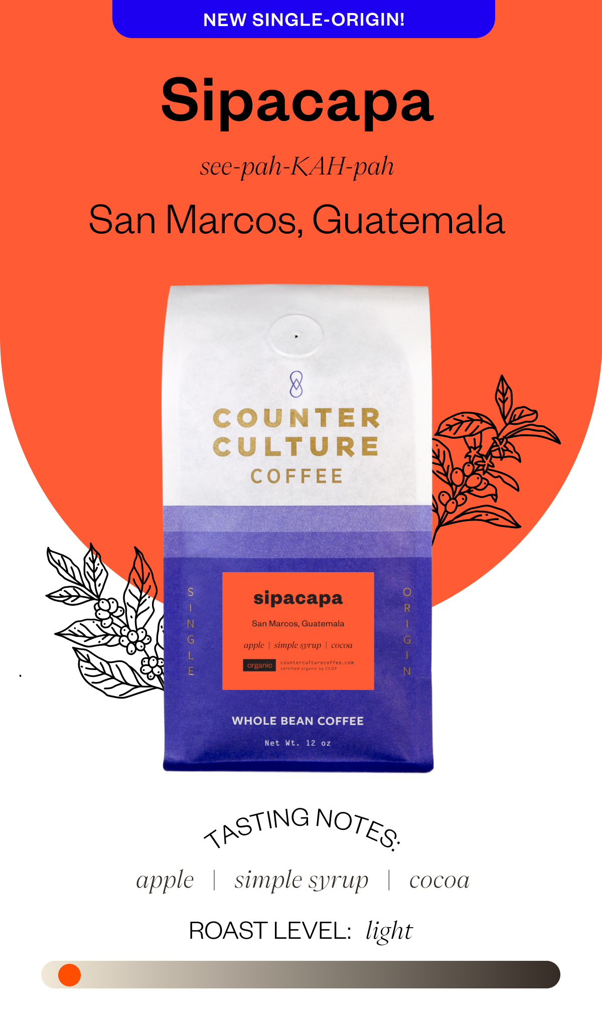 New Single - Origin Sipacapa Pronunciation: see-pah-KAH-pah San Marcos, Guatemala Tasting notes: apple simple syrup cocoa Roast Level: Light