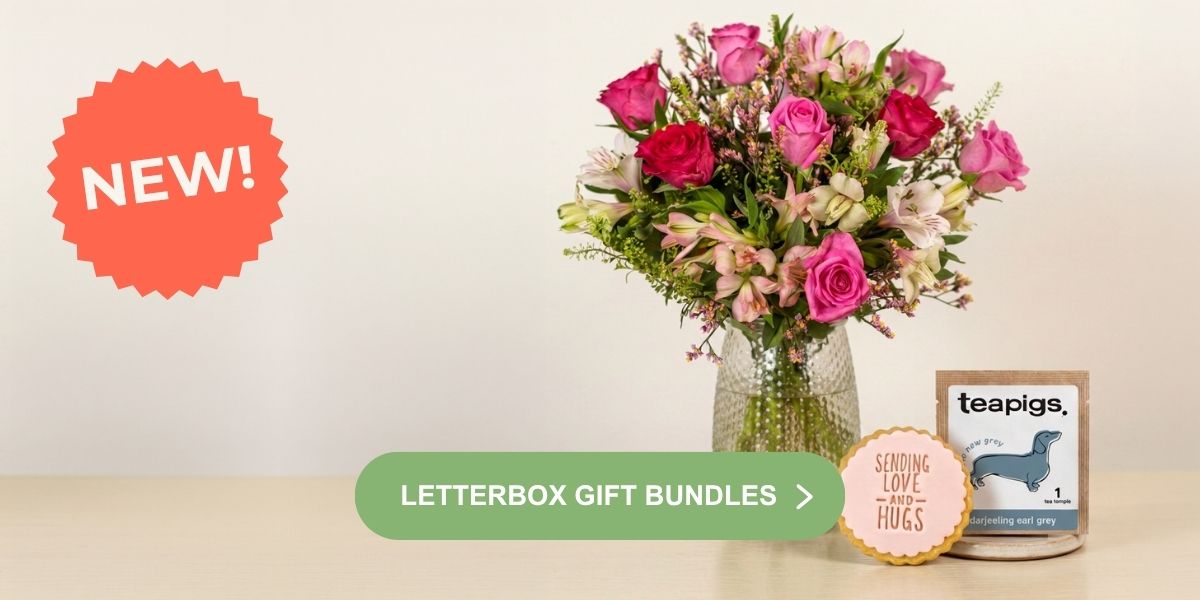 Letterbox-Bundles