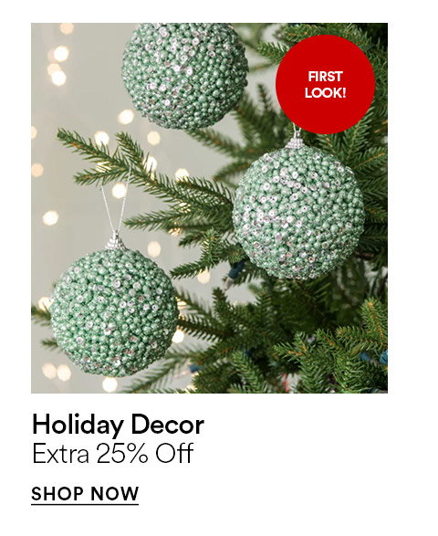 Holiday decor - Extra 25% off - SHOP NOW >
