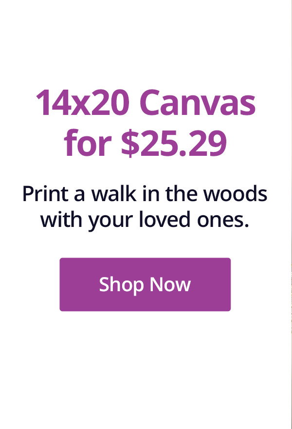14x20 canvas for $25.29!