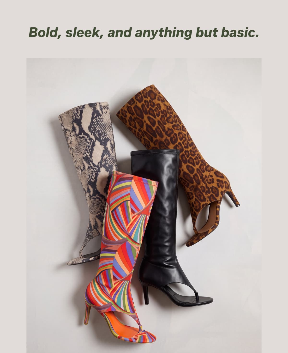 Bold, sleek, and anything but basic.