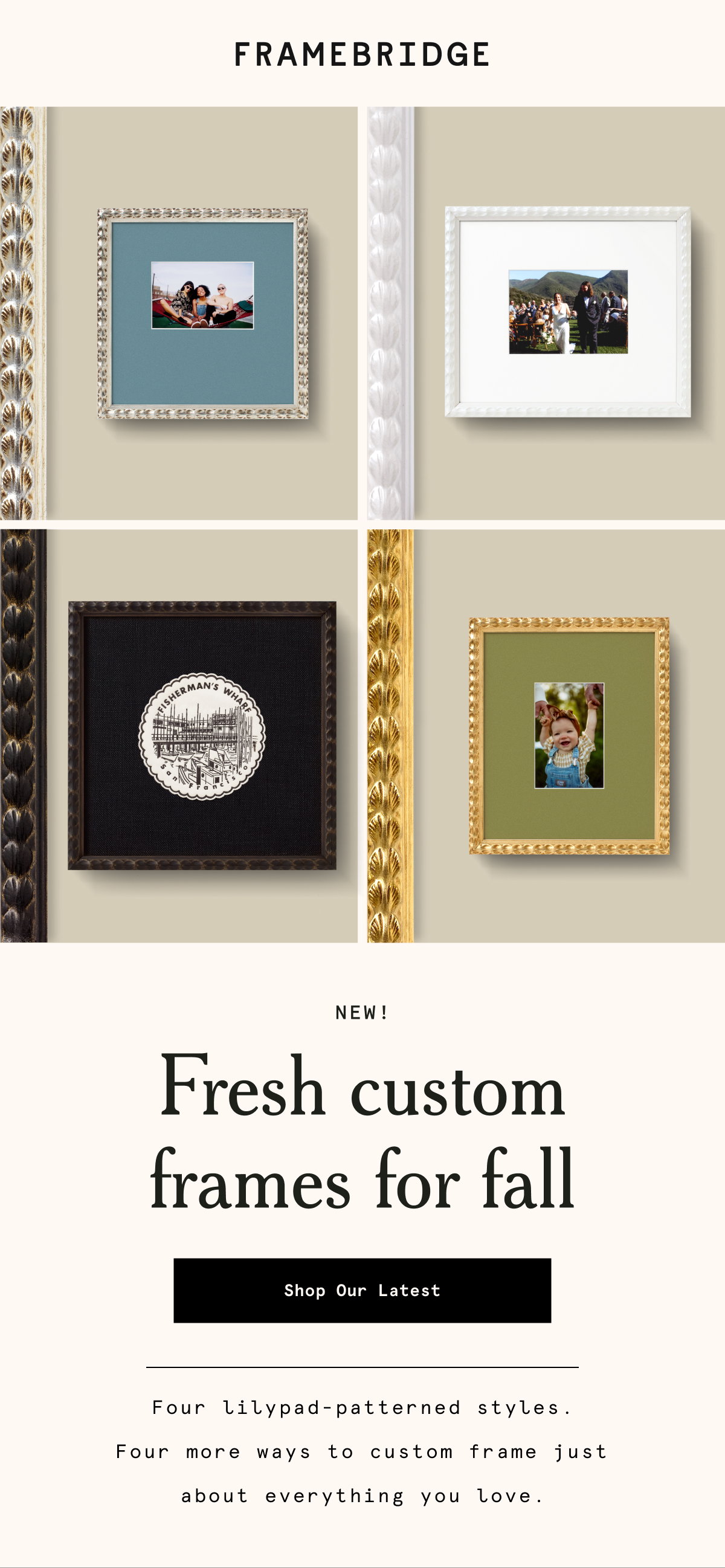Shop Our Latest
