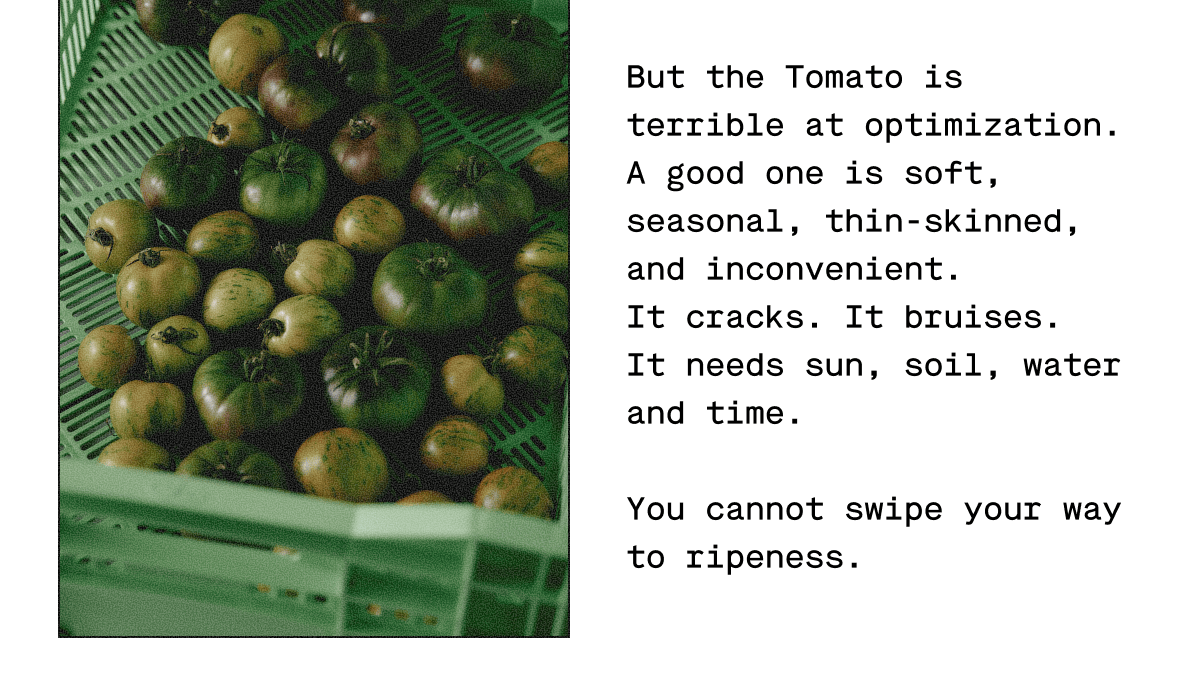 Tomato Candle