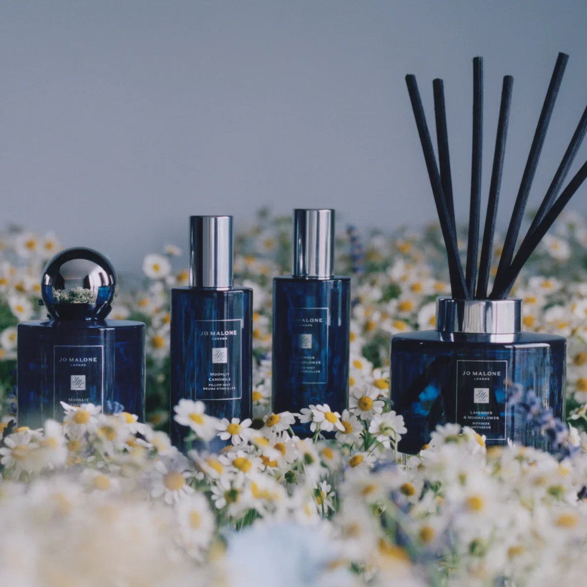 Night Collection | Jo Malone London