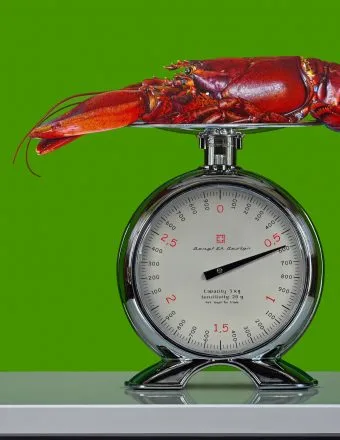 How Christopher Green Finds the Extraordinary in Everyday Objects