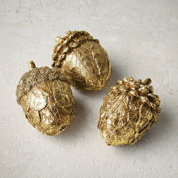 Gold Edge Mixed Acorns, Set of Three