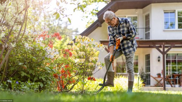 L'agenda du jardinier: que faire en septembre?