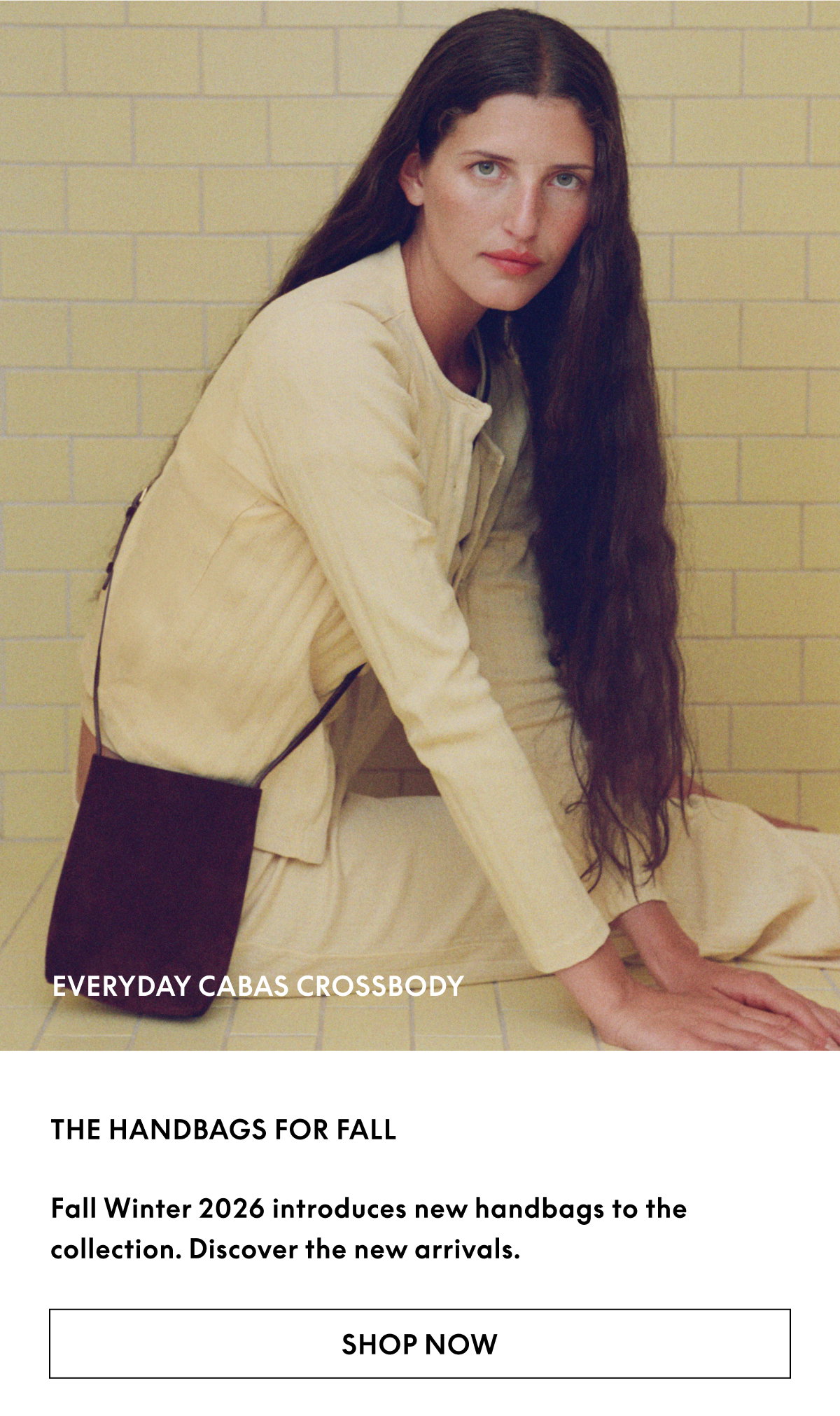 Fall Winter 2026 introduces new handbags to the collection. Discover the new arrivals. Pictured: Everyday Cabas Crossbody.