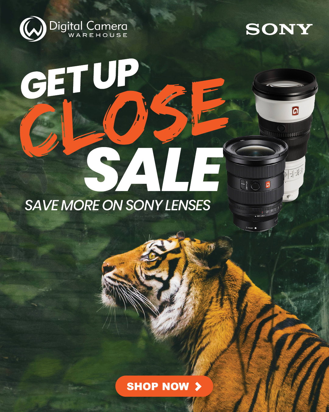 Sony Lens Sale
