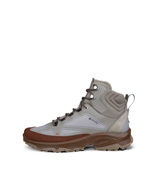 ECCO Receptor Xp