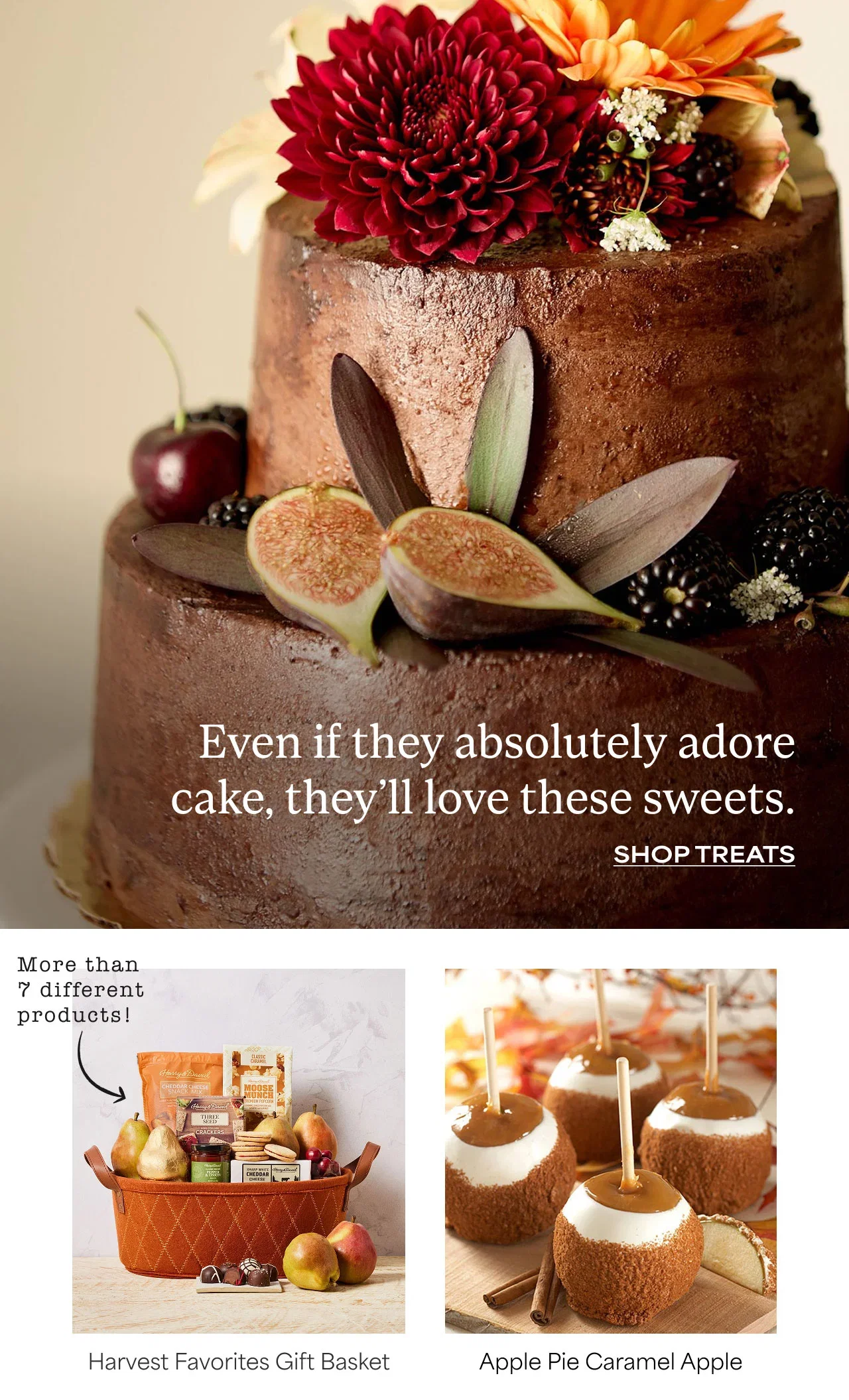 Even if they absolutely adore cake, they'll love these sweets. 