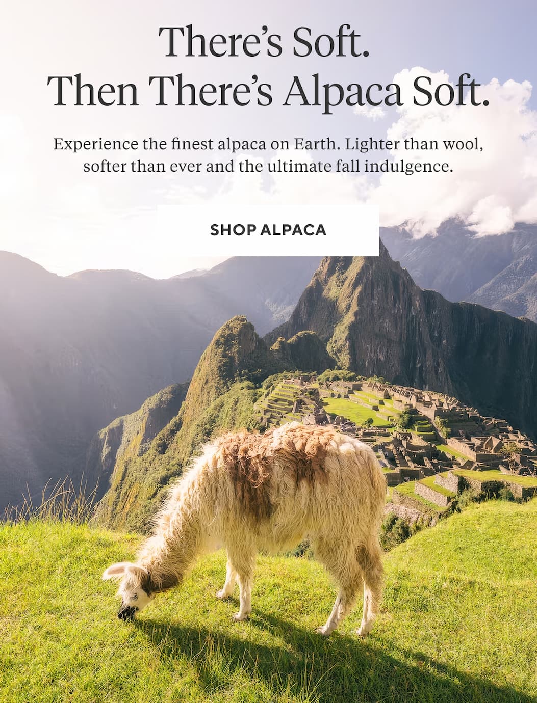 THERE'S SOFT. THEN THERE'S ALPACA SOFT. Experience the finest alpaca on Earth. Lighter than wool, softer than ever and the ultimate fall indulgence. Shop Alpaca >