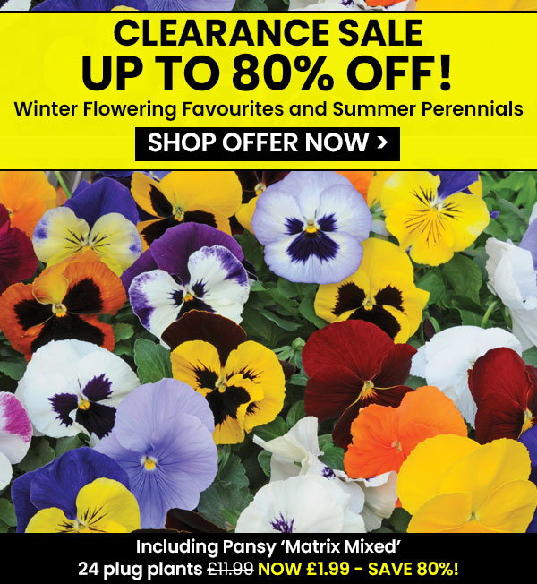 Clearance Sale