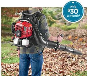 Troy-Bilt Gas-Powered Backpack Leaf Blower