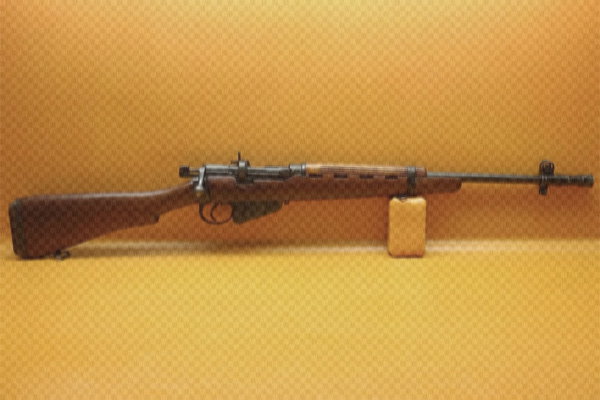 Bolt Action Rifles