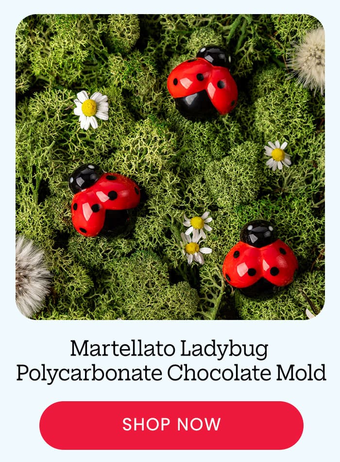 Ladybug
