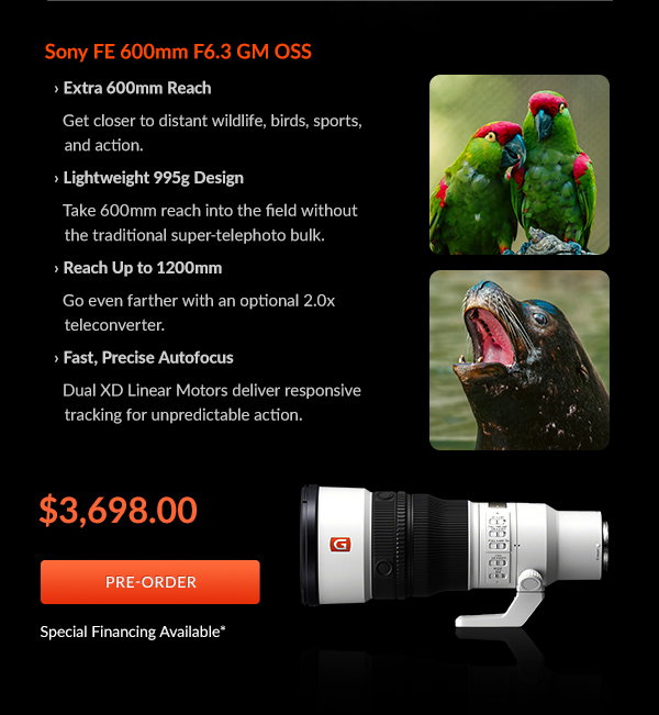 Sony FE 600mm F6.3 GM OSS | Pre-Order
