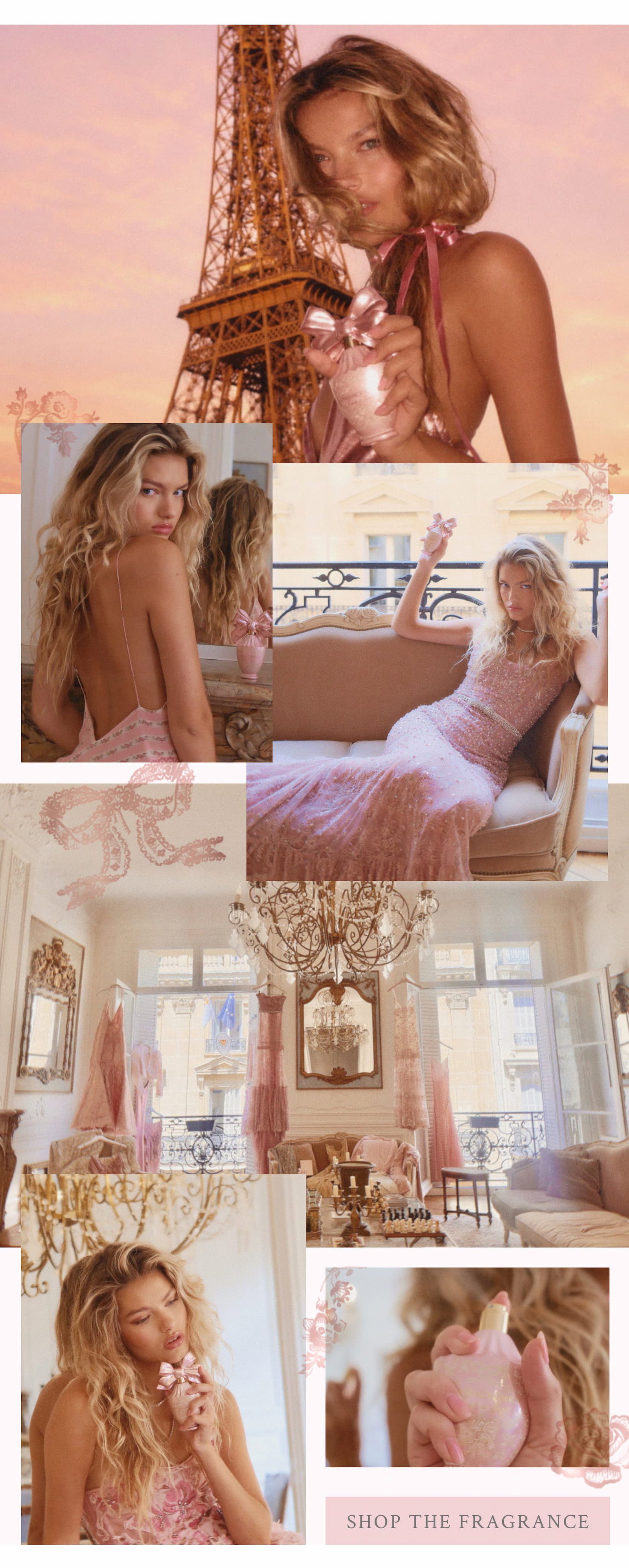 <SHOP THE FRAGRANCE>