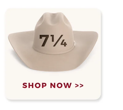 SHOP NOW >>