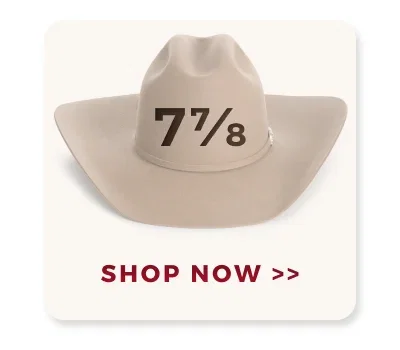 SHOP NOW >>